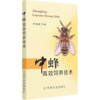 全新正版中蜂高效饲养技术9787109217805中国农业