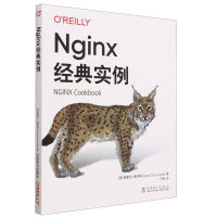 全新正版Nginx经典实例9787519877613中国电力