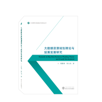 全新正版大数据资源规划理论与统筹发展研究9787307163武汉大学