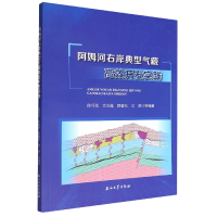 全新正版阿姆河右岸典型气藏高效开发实践9787518349111石油工业