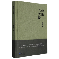 全新正版你住几支路9787570225200长江文艺