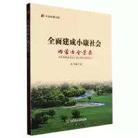 全新正版全面建成小康社会内蒙古全景录9787204172726内蒙人民