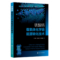 全新正版铁酸钙载氧体化学链能源转化技术9787122430038化学工业