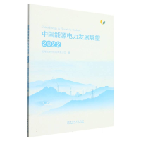 全新正版中国能源电力发展展望202297875198759中国电力