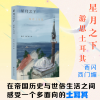 全新正版星月之下——游思土耳其9787305269349南京大学