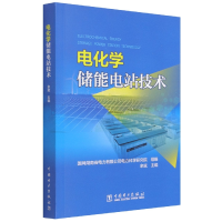 全新正版电化学储能电站技术9787519862848中国电力