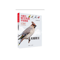 全新正版内蒙古常见鸟类手绘图鉴-无冕歌王9787204174379内蒙人民