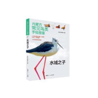 全新正版内蒙古常见鸟类手绘图鉴-水域之子9787204174294内蒙人民