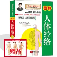 [正版图书]中医养生 图解人体经络养生全书 穴位大百科 推拿按摩艾灸刮痧拔罐敷贴 对症大全书家庭美容美体足疗手法教程筋络