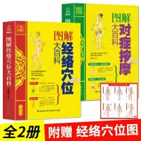 [正版图书]图解人体经络穴位按摩大全书中医推拿按摩书全身穴位图书籍图解手法教程零基础学会针灸艾灸按摩美容美体中医理疗健康