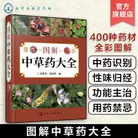 [正版图书]图解中草药大全 中医入门中草药大全书籍药材植物彩图中药大全 中医养生保健大全中草药识别百科全书 本草纲目中草