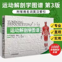 [正版图书]运动解剖学图谱修订第3三版人体医学彩色图解书肌肉健美训练完全讲解体适能健身运动生理脊椎基础教材肌筋膜松解术解