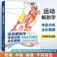 [正版图书]运动解剖学图谱体能训练全彩图解 运动解刨学健身教练书籍拉伸力量体能训练体能功能性训练肌肉健美健身书大全周期训