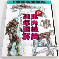 [正版图书]肌肉健美训练图解 德拉威尔肌肉力量解剖学图谱健身书籍私人教练 徒手健身精准拉伸训练体能训练运动健身减脂