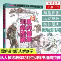 [正版图书]肌肉健美训练图解德拉威尔运动肌肉解剖学图谱健身教程大全健身书籍增肌书籍健身教练书籍功能性训练书肌肉拉伸训练力