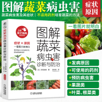 [正版图书]图解蔬菜病虫害诊断与防治 番茄黄瓜辣椒常见蔬菜栽培种植书籍 瓜类茄果类豆类叶菜类蔬菜栽培技术病虫害识别及防治