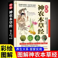 [正版图书]图解神农本草经 彩图版现代家庭认知应用养生保健指南书中医古籍出版社中国古代中医文化精华中药图谱详解
