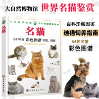 [正版图书]世界名猫鉴赏书籍 宠物猫咪猫语行为学大百科大全书 育猫驯养饲养百科手册 猫科动物图鉴书籍64种选猫知识指南