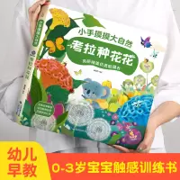 [正版图书]小手摸摸大自然 考拉种花花触摸书 幼儿早教图书宝宝0-3岁 儿童启蒙洞洞翻翻婴儿不易撕烂触感刺激认知书本故事