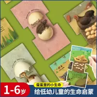 [正版图书]纸贵满堂 拉拉卡 蛋蛋里的小生命动物卡片早教认知卡幼儿看图识物早教书 婴儿宝宝书籍0-1-2-3-5岁