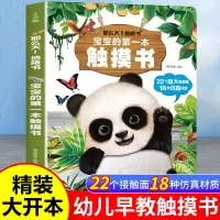 [正版图书]宝宝的第一本触摸书 婴幼儿启蒙认知早教书书本婴儿绘本0到3岁读物图书2一4撕不烂立体书适合一岁半宝宝看的书三