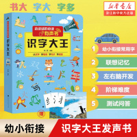 [正版图书]会说话的识字大王点读有声书婴幼儿学前启蒙认知触摸发声书3-4-5-6岁婴儿宝宝幼小衔接启蒙早教认字书幼儿园儿