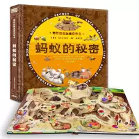 [正版图书]蚂蚁的秘密 奇妙自然生命立体书 儿童3d立体翻翻书书 宝宝早教启蒙绘本翻翻书 幼儿撕不烂神奇生命益智书本 0