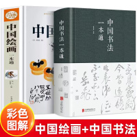 [正版图书]全2册中国书法一本通+中国绘画一本通中国书法大全入门初学者学习练习零基础国画入门写意花鸟临摹初学者自学水墨山