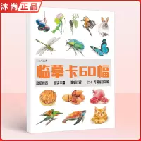 [正版图书]彩铅临摹卡60幅彩铅综合 2022一线美誉步骤对应美术绘画卡片兴趣高清原创教学