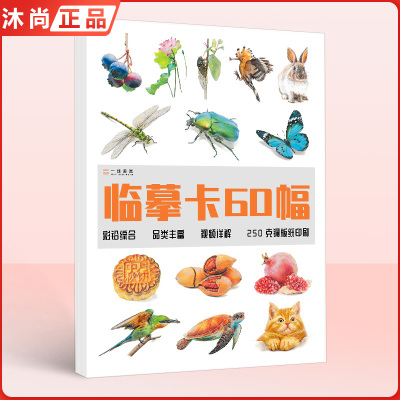 [正版图书]彩铅临摹卡60幅彩铅综合 2022一线美誉步骤对应美术绘画卡片兴趣高清原创教学