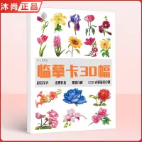 [正版图书]彩铅临摹卡30幅彩铅花卉 2022一线美誉步骤对应美术绘画卡片兴趣高清原创教学