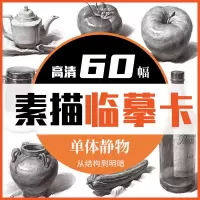 [正版图书]单体素描静物临摹卡60幅 一线美誉单个静物从结构到明暗临摹范本画册美术绘画教程教材书籍高清活页卡片