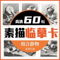 [正版图书]组合素描静物临摹卡60幅 一线美誉组合静物临摹范本画册美术教程教材绘画书籍高清活页卡片