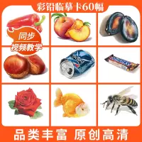 [正版图书]彩铅临摹卡综合篇2022一线美誉步骤对应美术绘画卡片兴趣高清原创