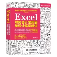 [正版图书]Excel财务会计常用表单设计案例精讲 excel财务销售行政技巧教程大全书 excel表格制作数据处理公式