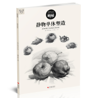 [正版图书]造型基础明暗静物单个塑造 画中话李彪二单体素描静物零基础入门教材临摹范本画册书籍范画对临课件高校联考美术绘画