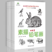 [正版图书]全8册素描书 入门教材书籍铅笔画动物篇美食篇人物花卉 昆虫篇手绘 从入门到精通儿童成人学素描画教程美术铅笔静