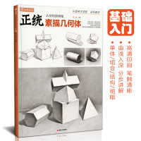[正版图书]正统素描几何体 零基础教程书石膏形体静物组合结构入门照片初学者考级本国美临摹范本画册教学画儿童单体高考联考美
