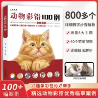 [正版图书]一线美誉 彩铅动物100例 彩色铅笔手绘画入门 临摹零基础教程书籍超写实零基础初学者自学教材 王博文编著 浙
