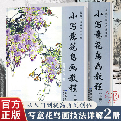 [正版图书]小写意花鸟画教程上下册全2本 传统中国水墨画技法详解 成人初学者国画牡丹花鸟画自学入门零基础教程书美术绘画教