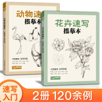 [正版图书]经典全集 2册花卉+动物速写描摹本 零基础画画入门新手自学教程书籍线描花卉临摹手绘初学者学绘画教材铅笔画描摹