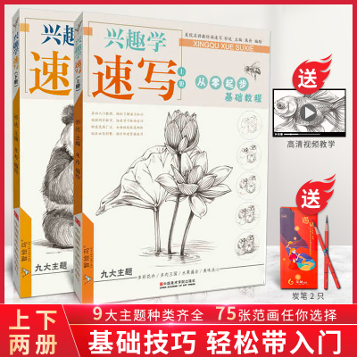 [正版图书]兴趣学速写上下册 朱丹植物花卉动物铅笔素描临摹零基础入门的诀窍自学手绘画画册静物训练儿童美术工具书初学者教程