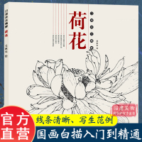 [正版图书]荷花 白描技法精解 中国画花草植物工笔画白描底稿书白描勾线画谱美术绘画初学者入门到精通基础教程 线描写生范