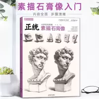 [正版图书]2022正统素描石膏像 沐尚文化零基础初学者入门局部五官素描石膏像临摹教学原创作品高清解析教程教材高考书籍