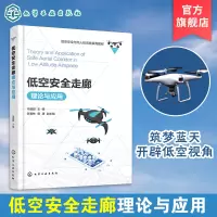 [正版图书]低空安全走廊理论与应用 低空空域概述 低空安全走廊基础理论与技术支撑 应用平台设计与构建 产业生态与规划书籍