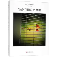 [正版图书] 中国当代摄影图录:严怿波 9787551422826 无