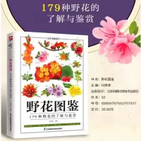 [正版图书]野花图鉴野花图鉴野花的基本知识从生活形态植物形态别名图片展示详细介绍野花的外形及特点从根本上认识野花自然科普