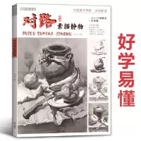 [正版图书]对路素描静物单体组合结构照片画临摹范本基础写生入门考级高考联考教学国美素材几何体蔡兼美术绘画画册本初级书籍教