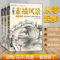 [正版图书]经典全集 兴趣学素描/速写/风景3本优惠套装 零基础入门 画画自学素描入门教材 绘画步骤详细一步一画 素描临