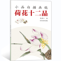 [正版图书]六成新 荷花十二品 小品白描画稿 吴樵六 绘 中国画教学临摹范本 底稿画稿画谱书入门素材 国画绘画艺术书籍